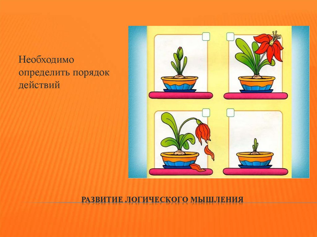 Развитие логического мышления
