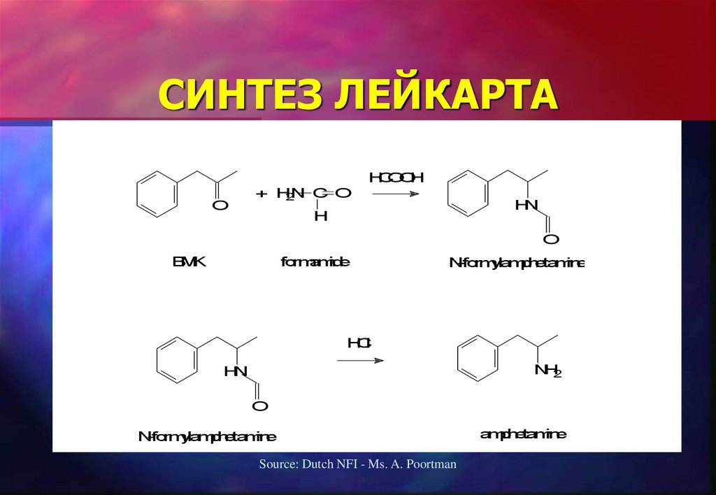 СИНТЕЗ ЛЕЙКАРТА