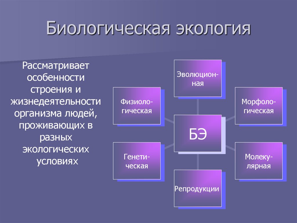 Проект по теме окружающая среда и здоровье человека