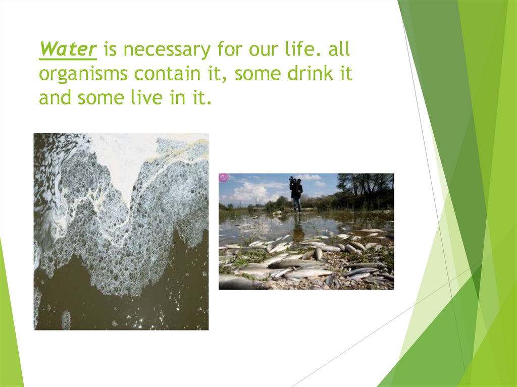Water is necessary for our life. all organisms contain it, some drink it and some live in it.