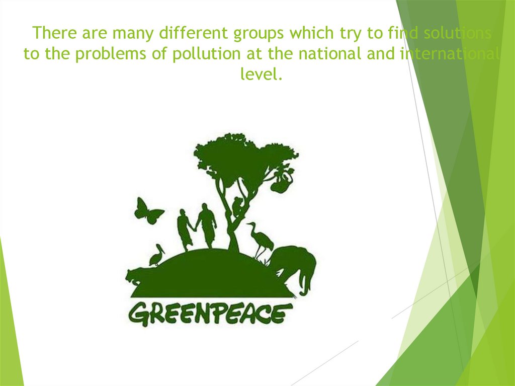 There are many different groups which try to find solutions to the problems of pollution at the national and international