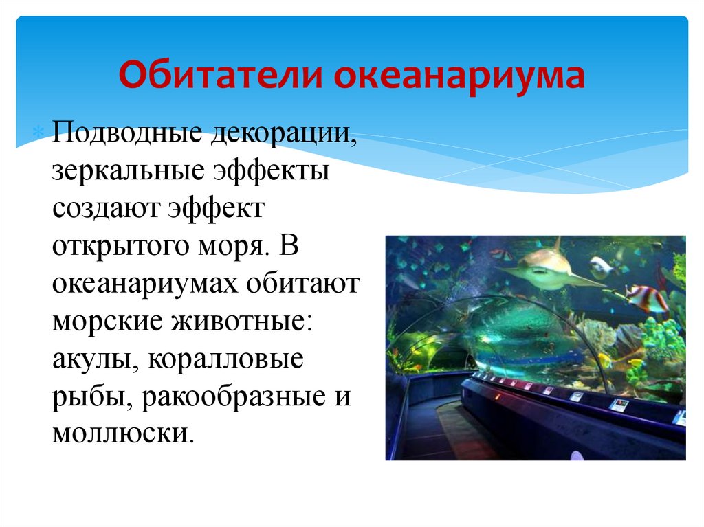 Обитатели океанариума