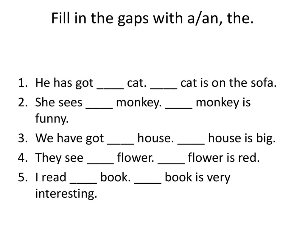 Fill in the gaps with a/an, the.