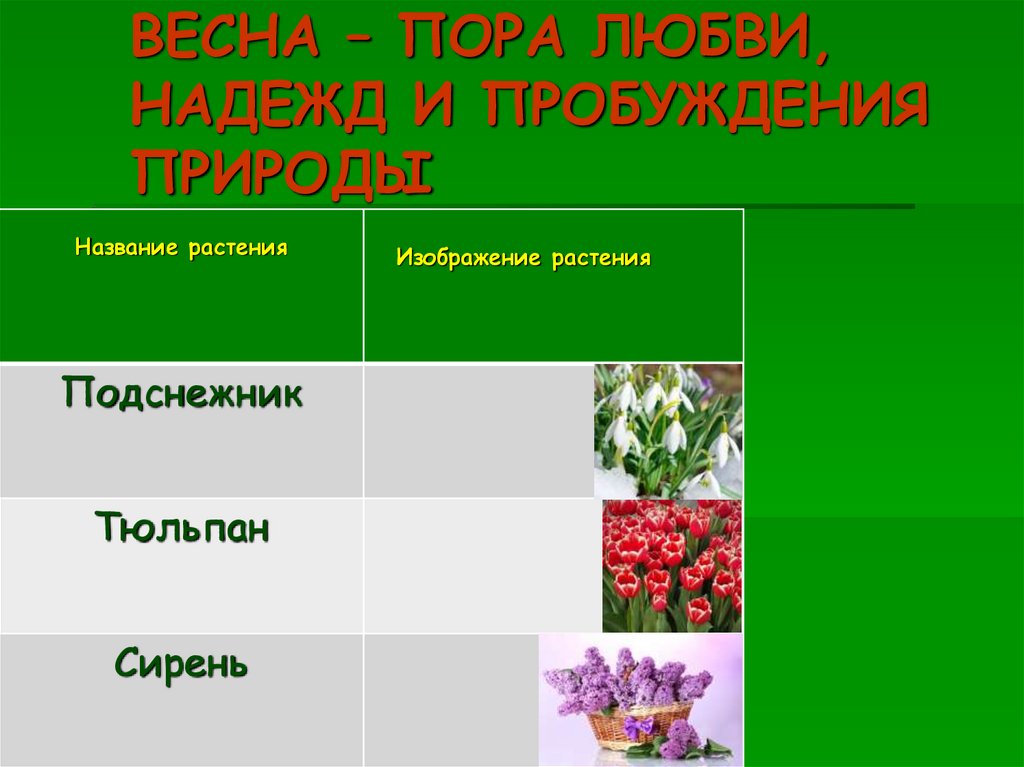 ВЕСНА – ПОРА ЛЮБВИ, НАДЕЖД И ПРОБУЖДЕНИЯ ПРИРОДЫ