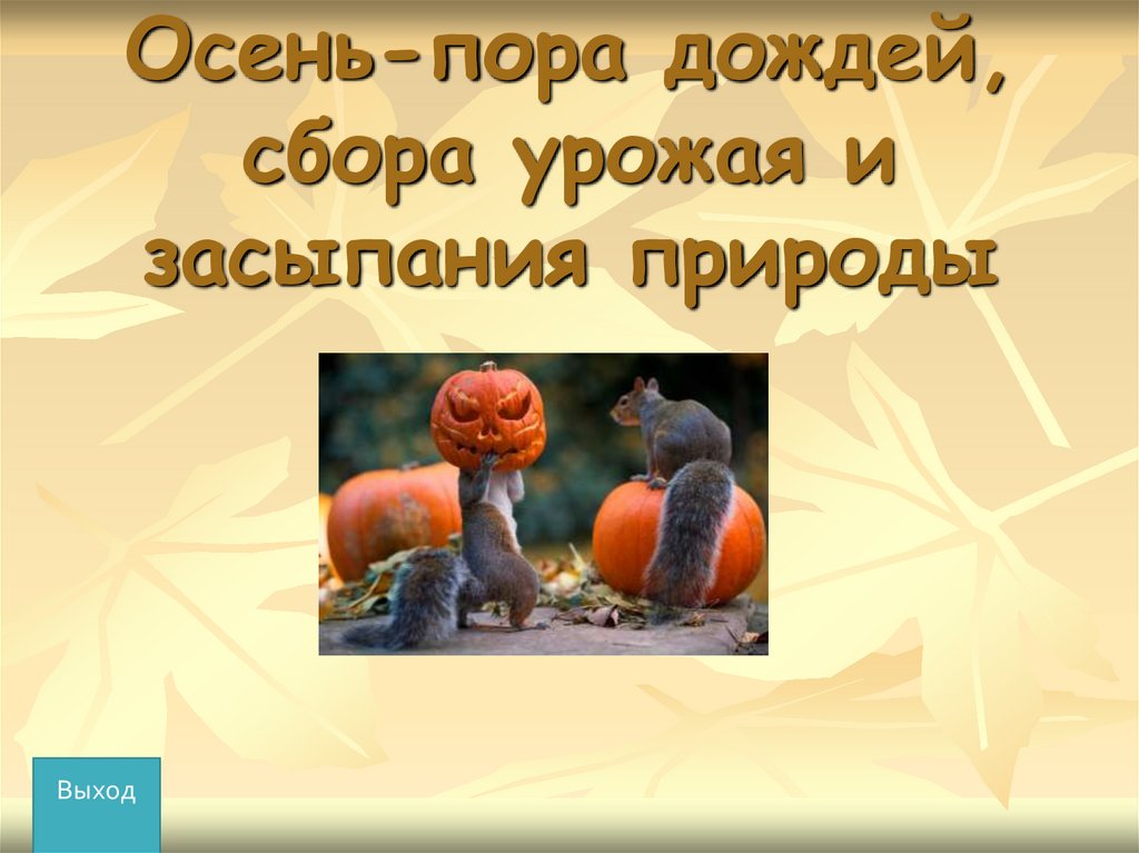 Осень-пора дождей, сбора урожая и засыпания природы