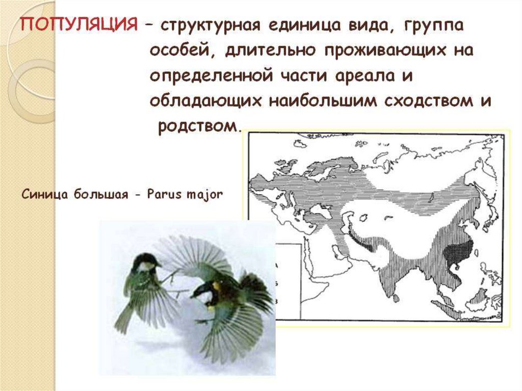 Ареал занимаемый видом в природе это критерий