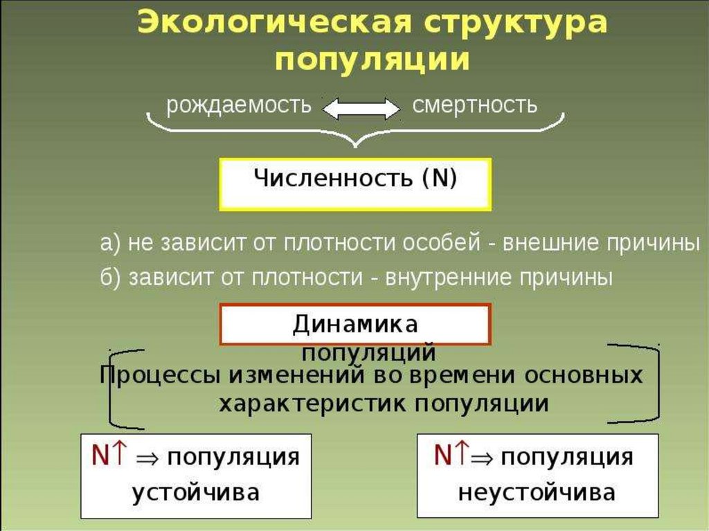 Экологическая характеристика популяции презентация 11 класс