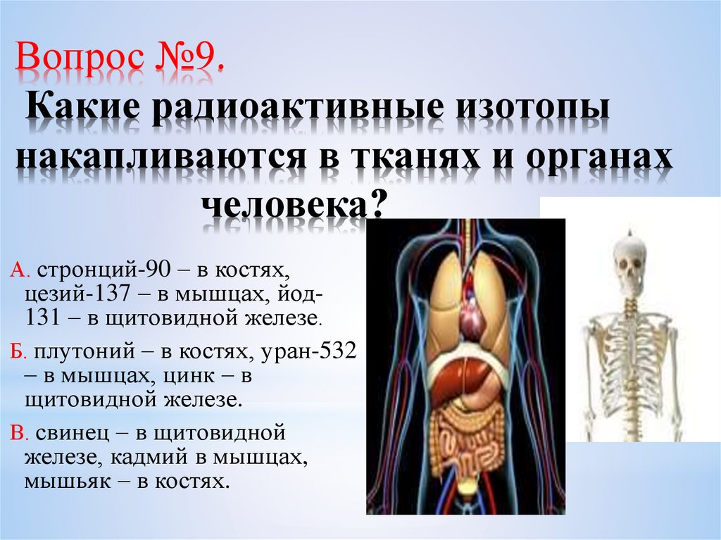 Образцы ситуаций которые накапливаются в памяти человека