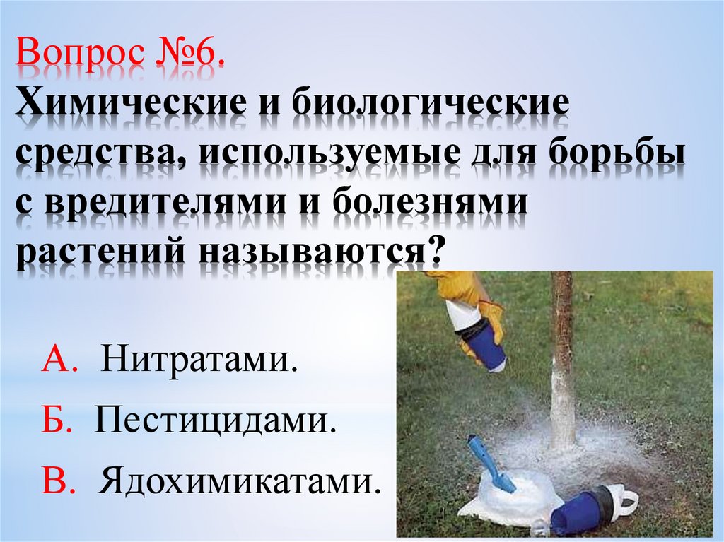 Вопрос №6. Химические и биологические средства, используемые для борьбы с вредителями и болезнями растений называются?