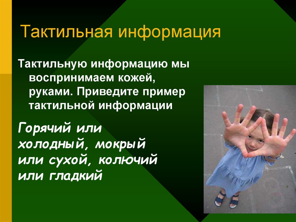 Что такое тактильность. Тактильная информация примеры. Тактильную информацию человек получает посредством. Тактильная информация картинки для презентации. Горячий кофе это тактильная информация.