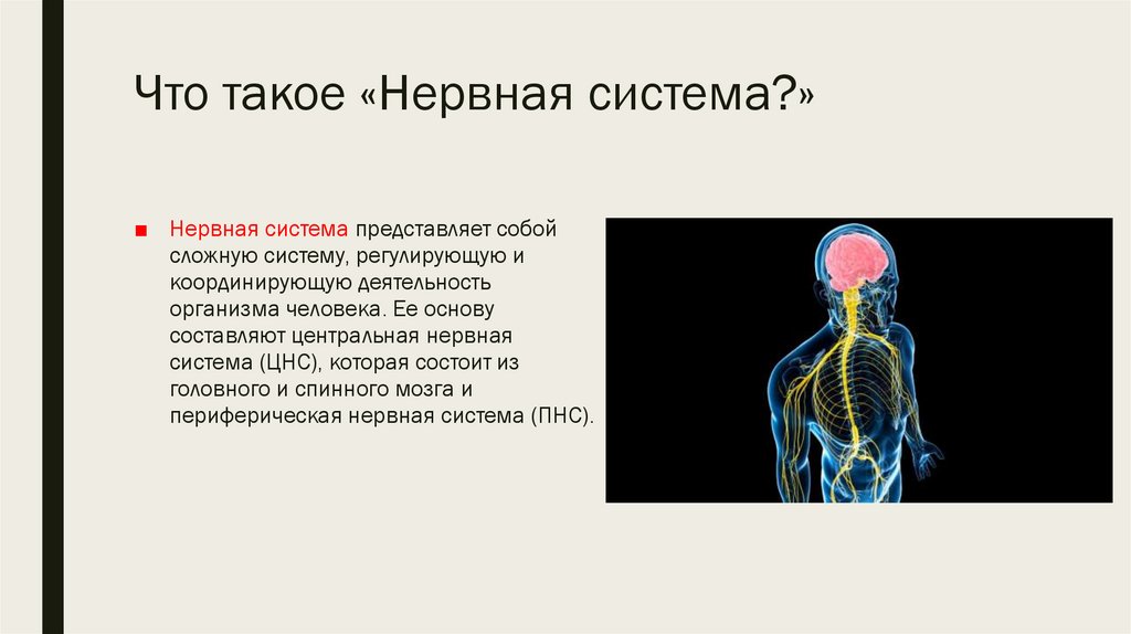 Нарушение центральной нервной системы