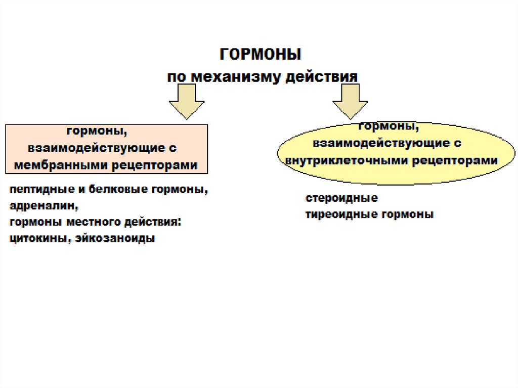 Эффект гормональных