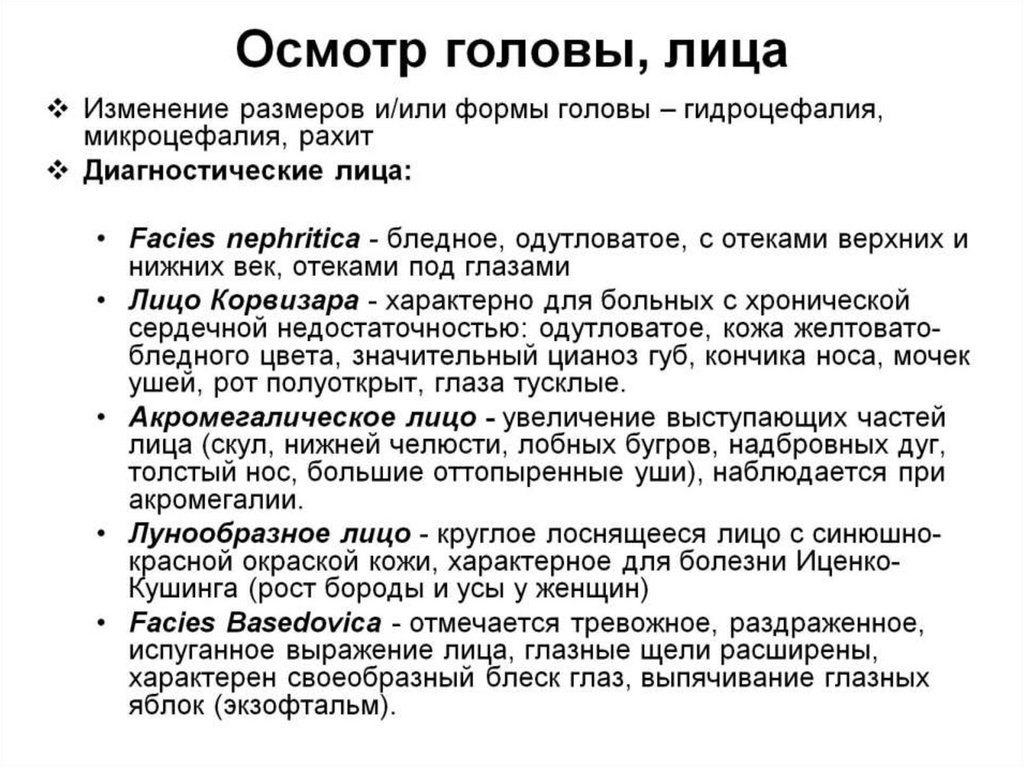 Подкожно-жировая клетчатка (ПЖК)