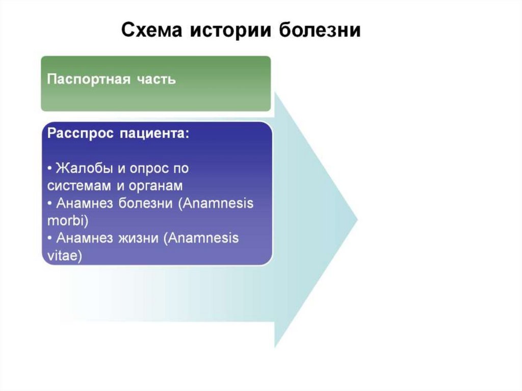 Схема истории болезни по пропедевтике внутренних болезней пример