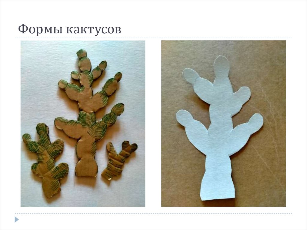 Формы кактусов