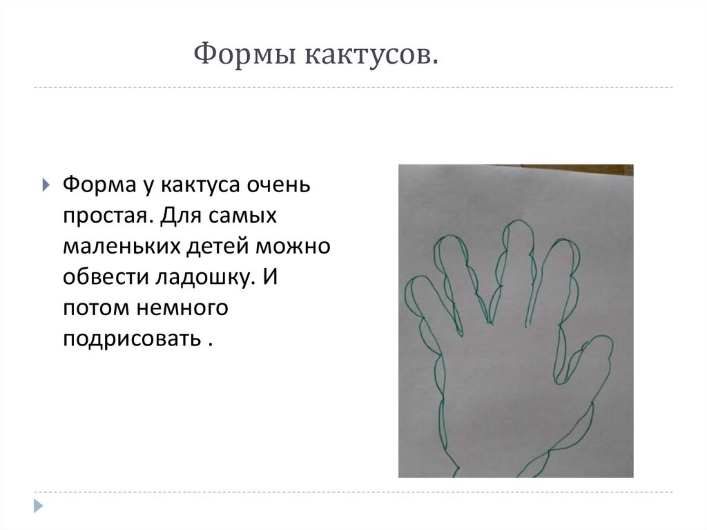 Формы кактусов.