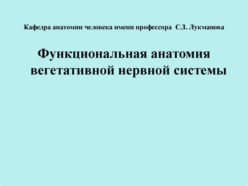 Функциональная анатомия вегетативной нервной системы презентация