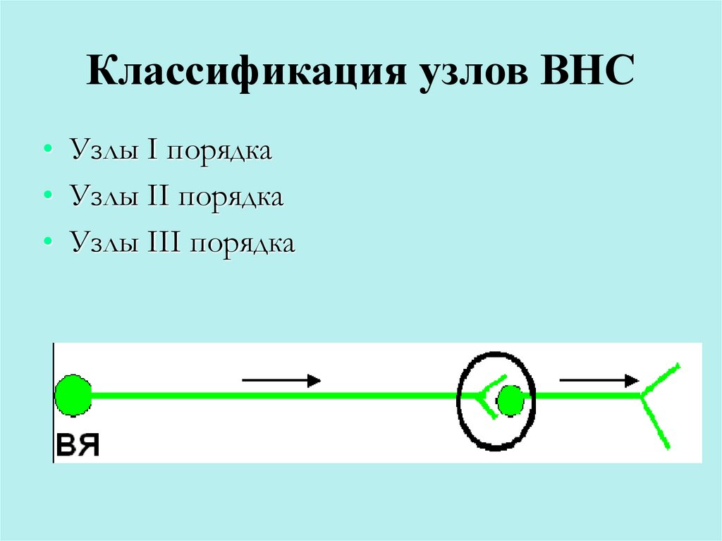 Классификация узлов