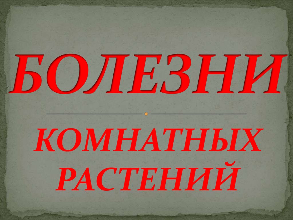 Засохшие растения - online presentation