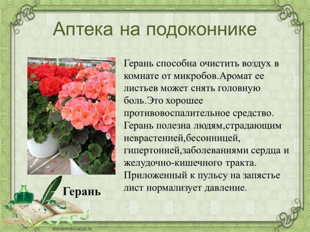 Проект про букет