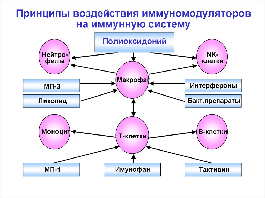 Isst схема терапия