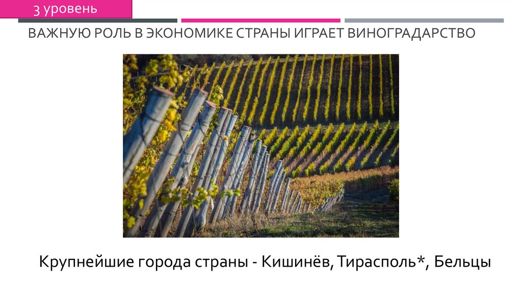 Важную роль в экономике страны играет виноградарство