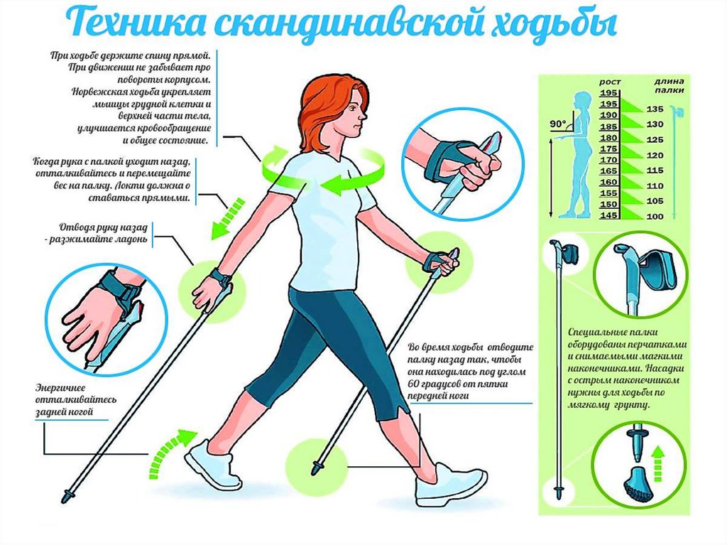 Проект по скандинавской ходьбе