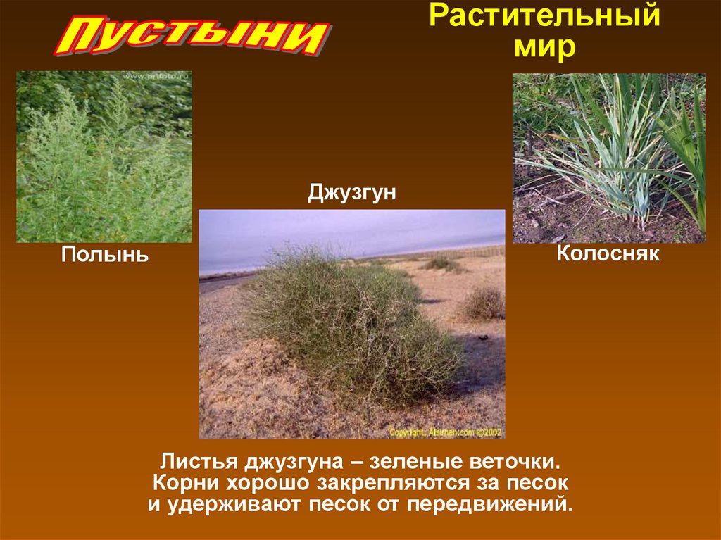 Пустыни. Природные зоны России - online presentation
