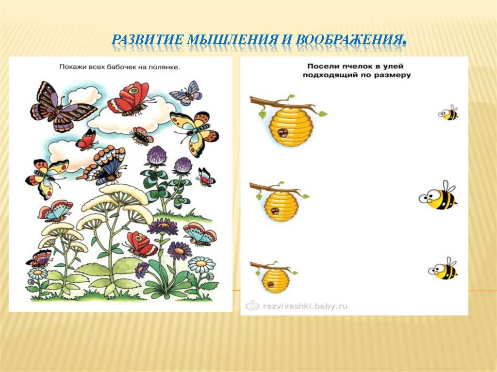 Развитие мышления и воображения.
