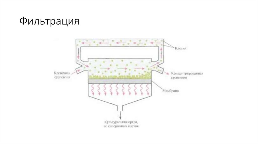 Фильтрация