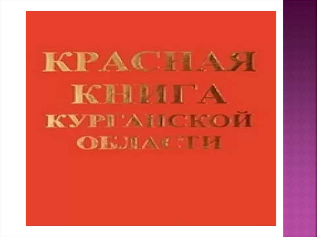 Животные красной книги курганской области фото и описание