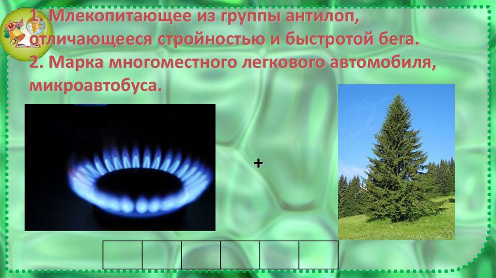 1. Млекопитающее из группы антилоп, отличающееся стройностью и быстротой бега. 2. Марка многоместного легкового автомобиля,