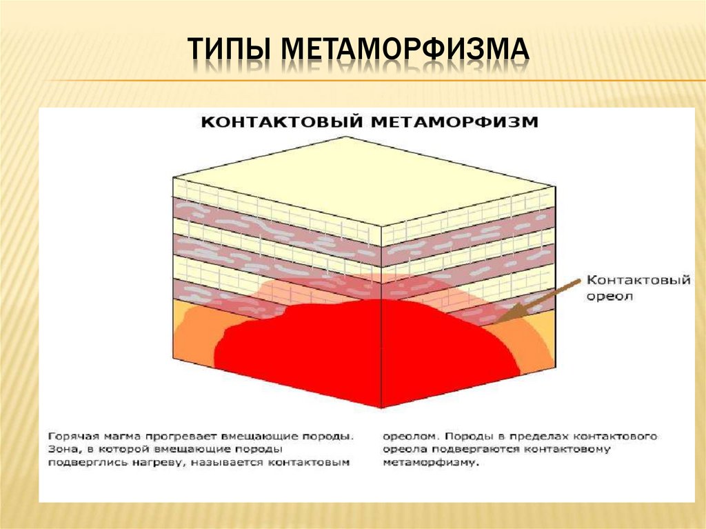 Карта метаморфизма это