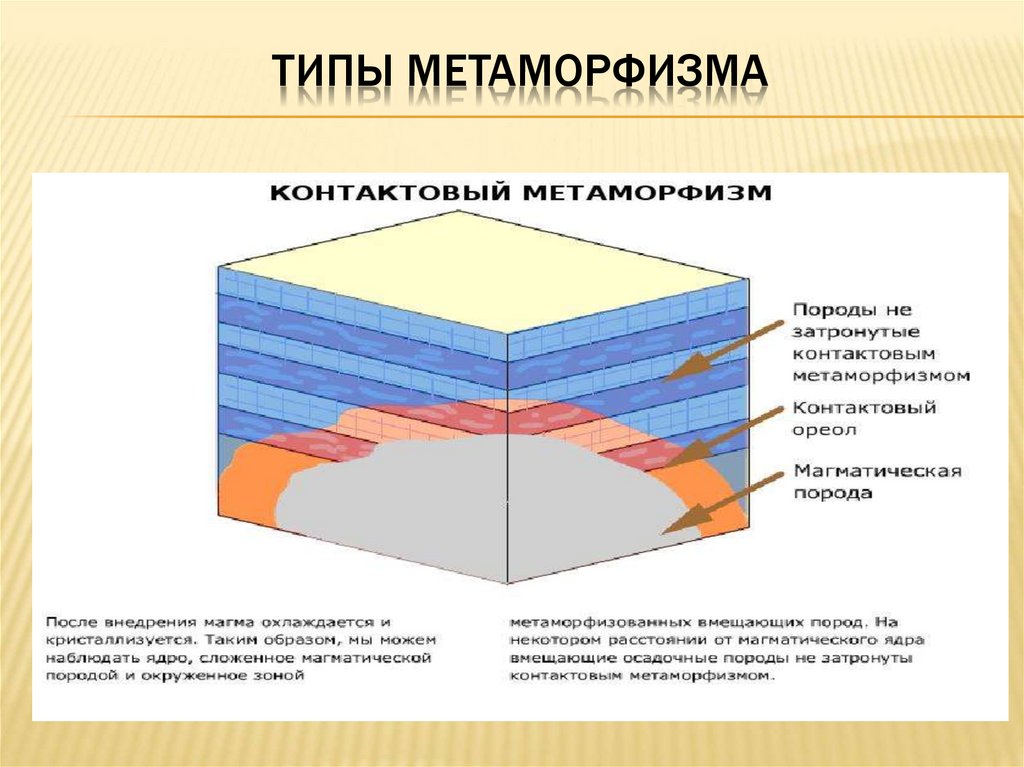 Карта метаморфизма это