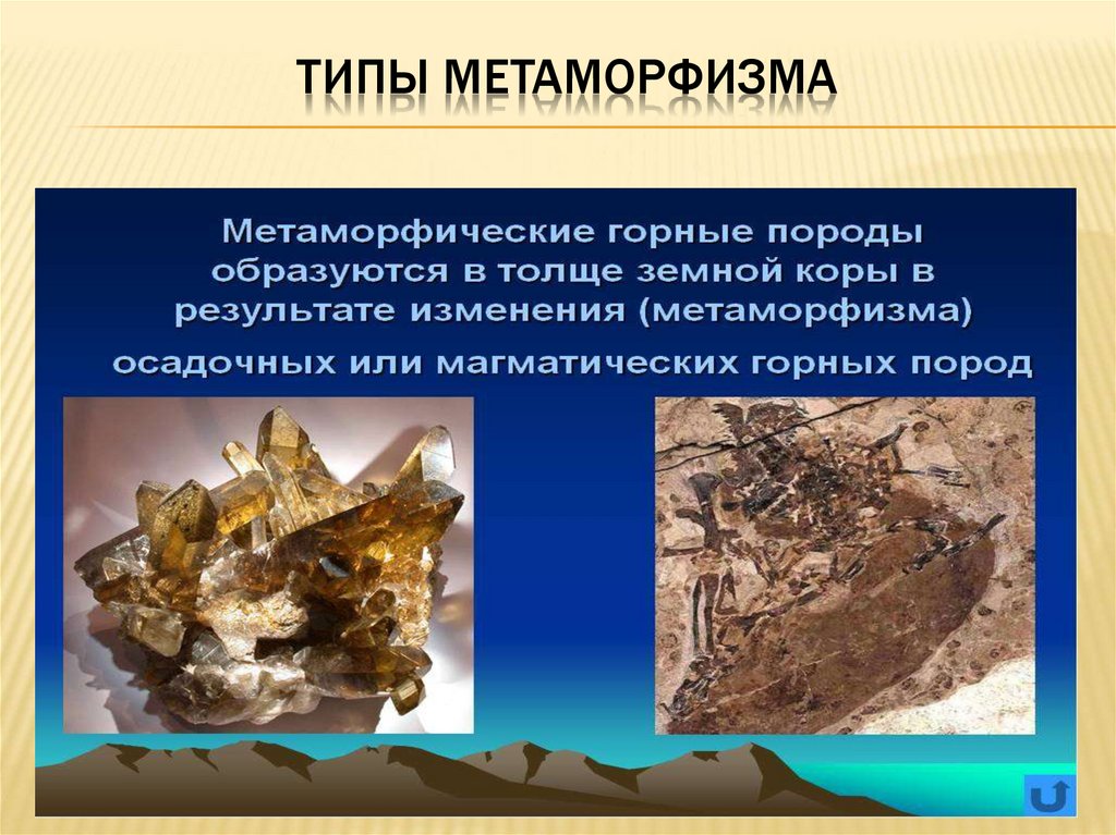 Какие метаморфические породы образуются из. Метаморфические минералы. Метаморфические горные породы. Метаморфические полезные ископаемые. Минералы метаморфических пород.