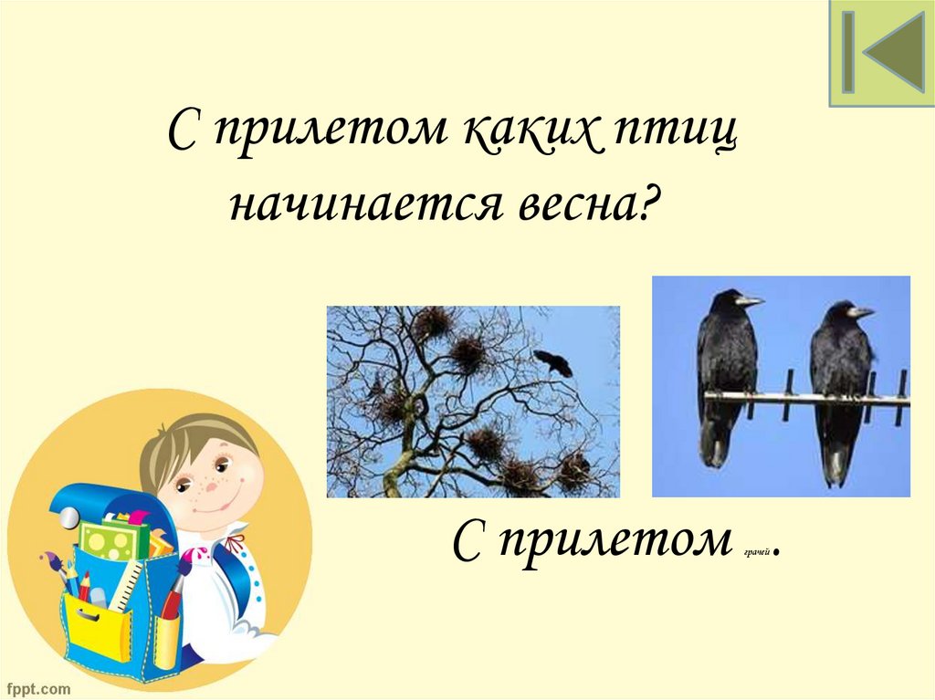 С прилетом грачей.