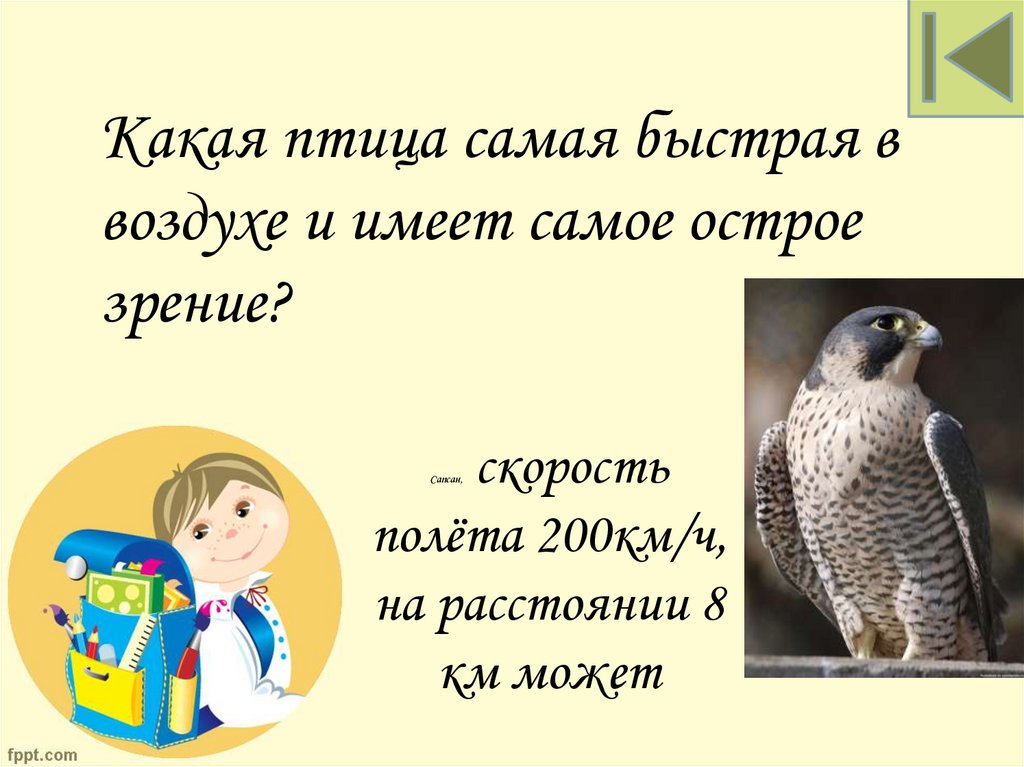 Сапсан, скорость полёта 200км/ч, на расстоянии 8 км может