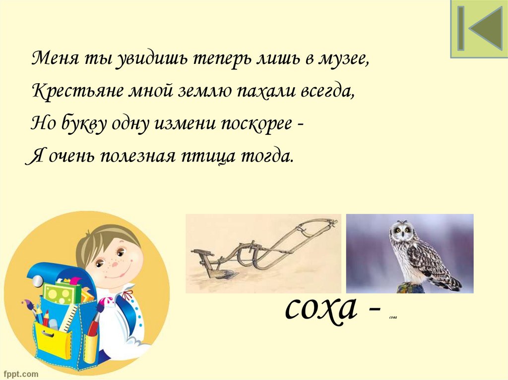 соха - сова