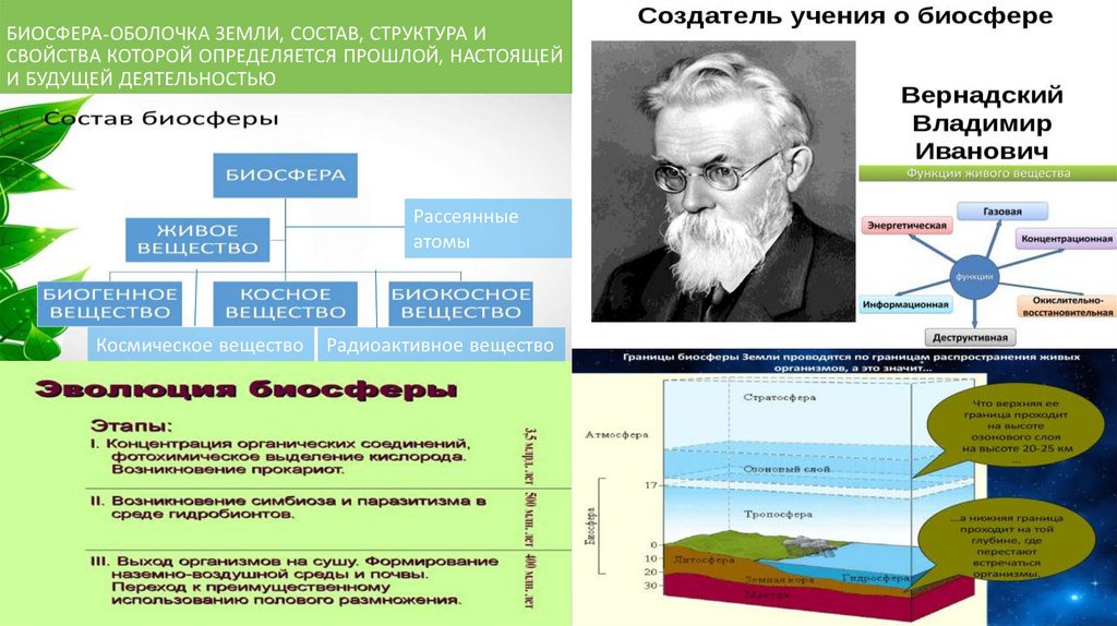 Биосфера структура биосферы 8 класс презентация