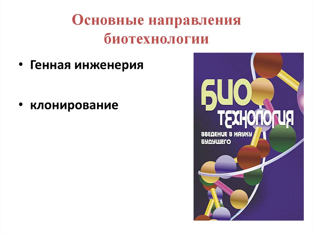 Направления биотехнологии презентация