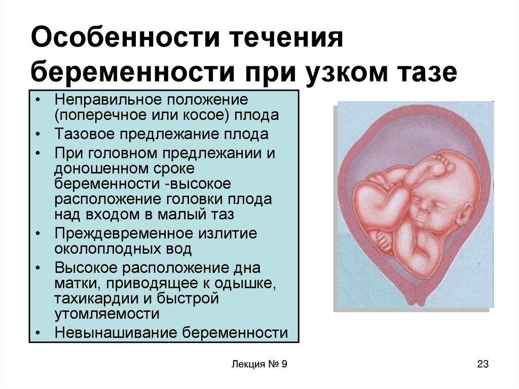 Особенности течения беременности и родов. Положение плода поперечное головное. Продольное головное предлежание плода. Продольное поперечное косое положение плода. Продольное положение плода при беременности в 32 недели.