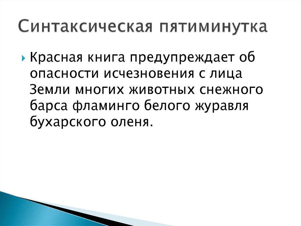 Синтаксическая пятиминутка