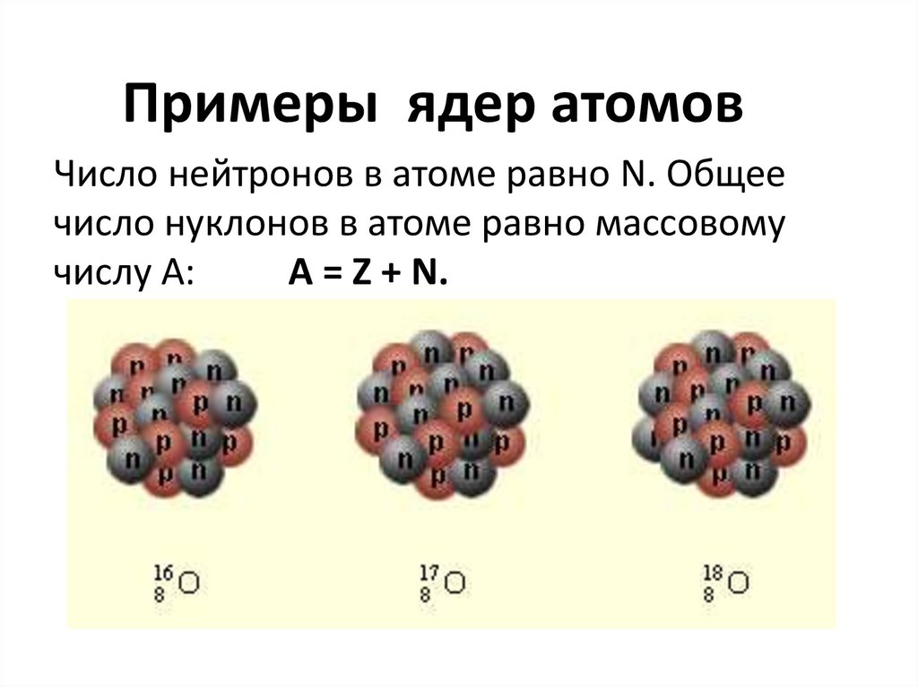 Ядра атомов изотопов содержат одинаковое число