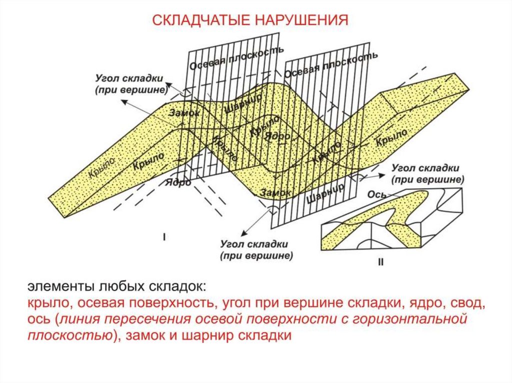 Движение пород. Элементы складки антиклиналь синклиналь пласт. Элементы складки Геология. Строение геологической складки. Схема строения складки Геология.