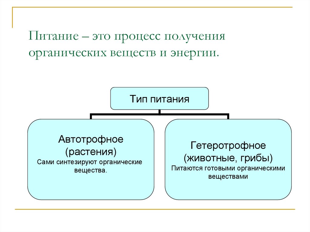 Процесс получения организмами веществ энергии. Процесс питания растений. Минеральное питание растений 6 класс презентация.