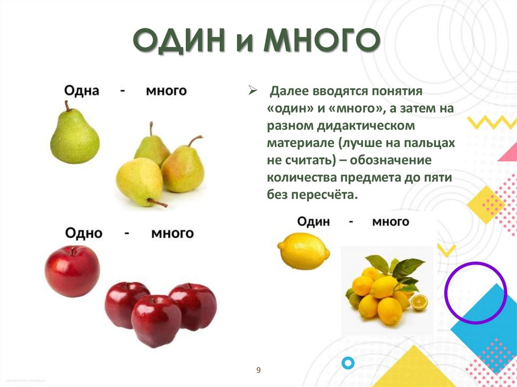 ОДИН и МНОГО