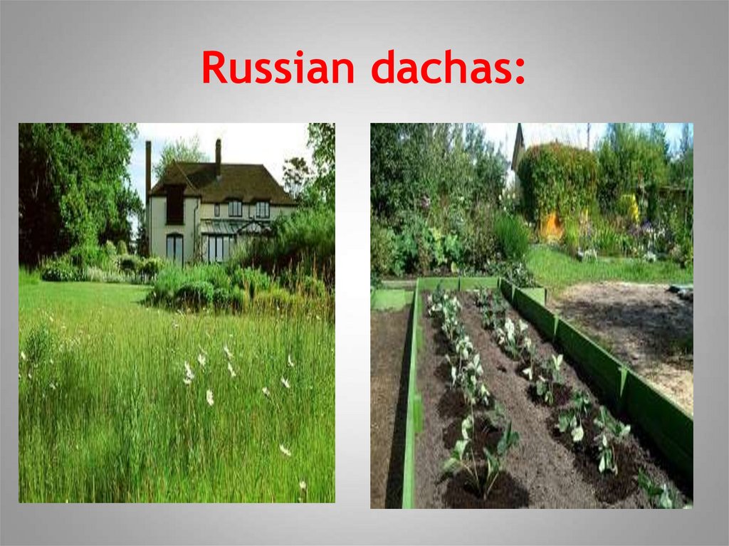 Russian dachas - презентация онлайн
