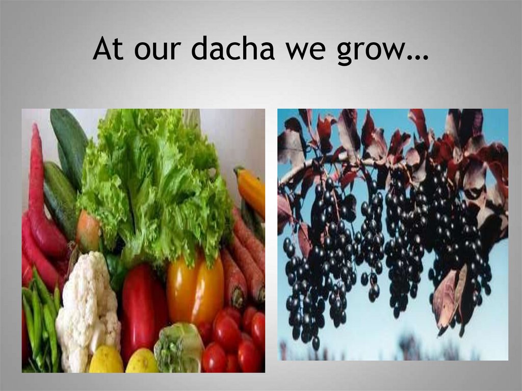 At our dacha we grow…