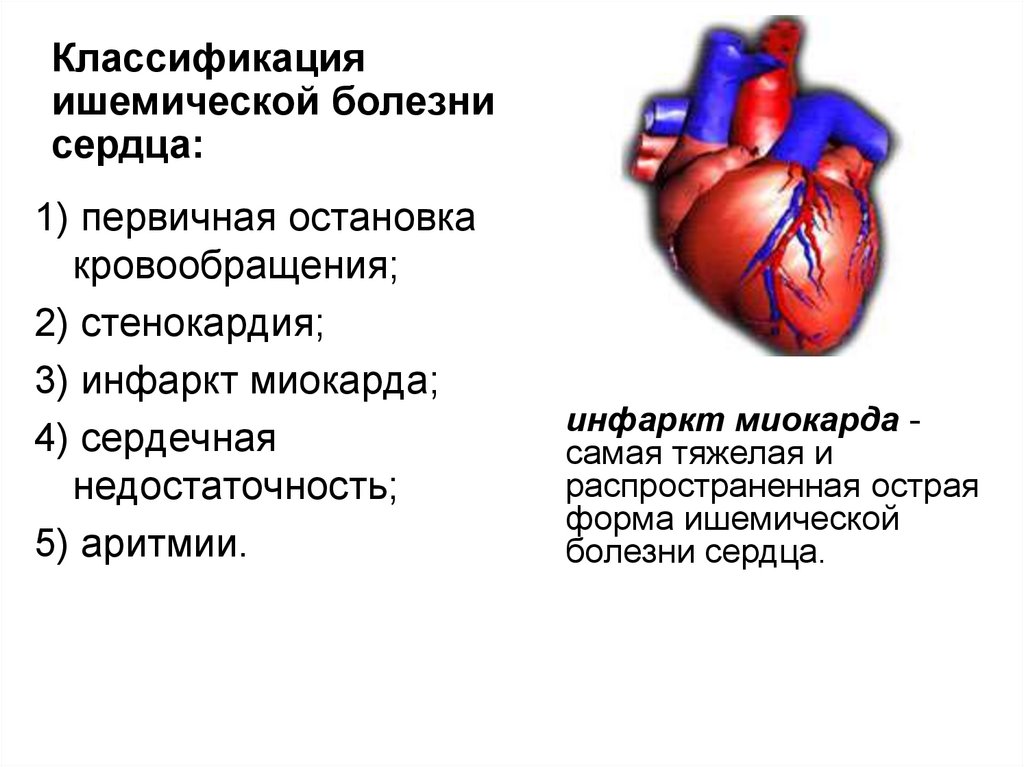 Ишемия мышц. ИБС относится стенокардия, инфаркт миокарда. Ишемическая болезнь сердца и сердечная недостаточность. Клинические формы ишемической болезни сердца. 8. Классификация ишемической болезни сердца.