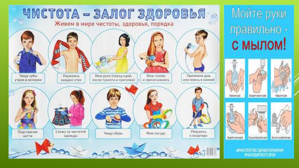 Чистота Залог Здоровья Картинки